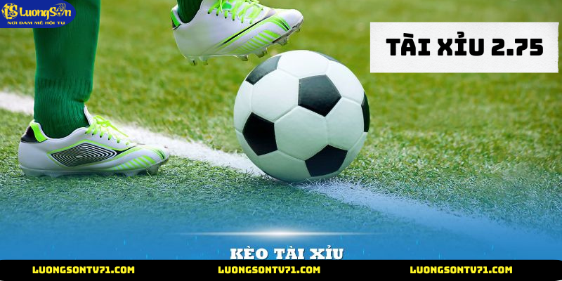 Tài xỉu 2.75 cùng lương sơn tv