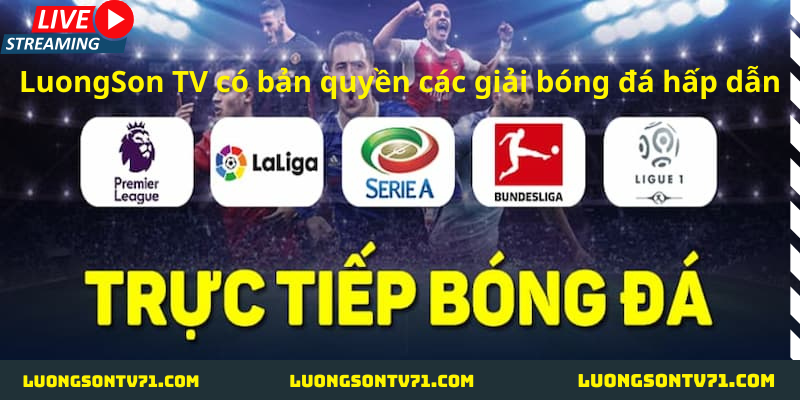 Bản quyền 1 LuongSon TV có tất cả bản quyền các giải bóng đá hấp dẫn